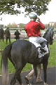 Présentation d'un jockey avec son cheval de course